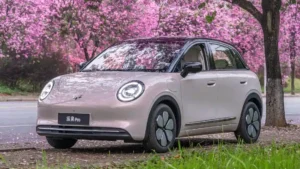 Wuling Binguo