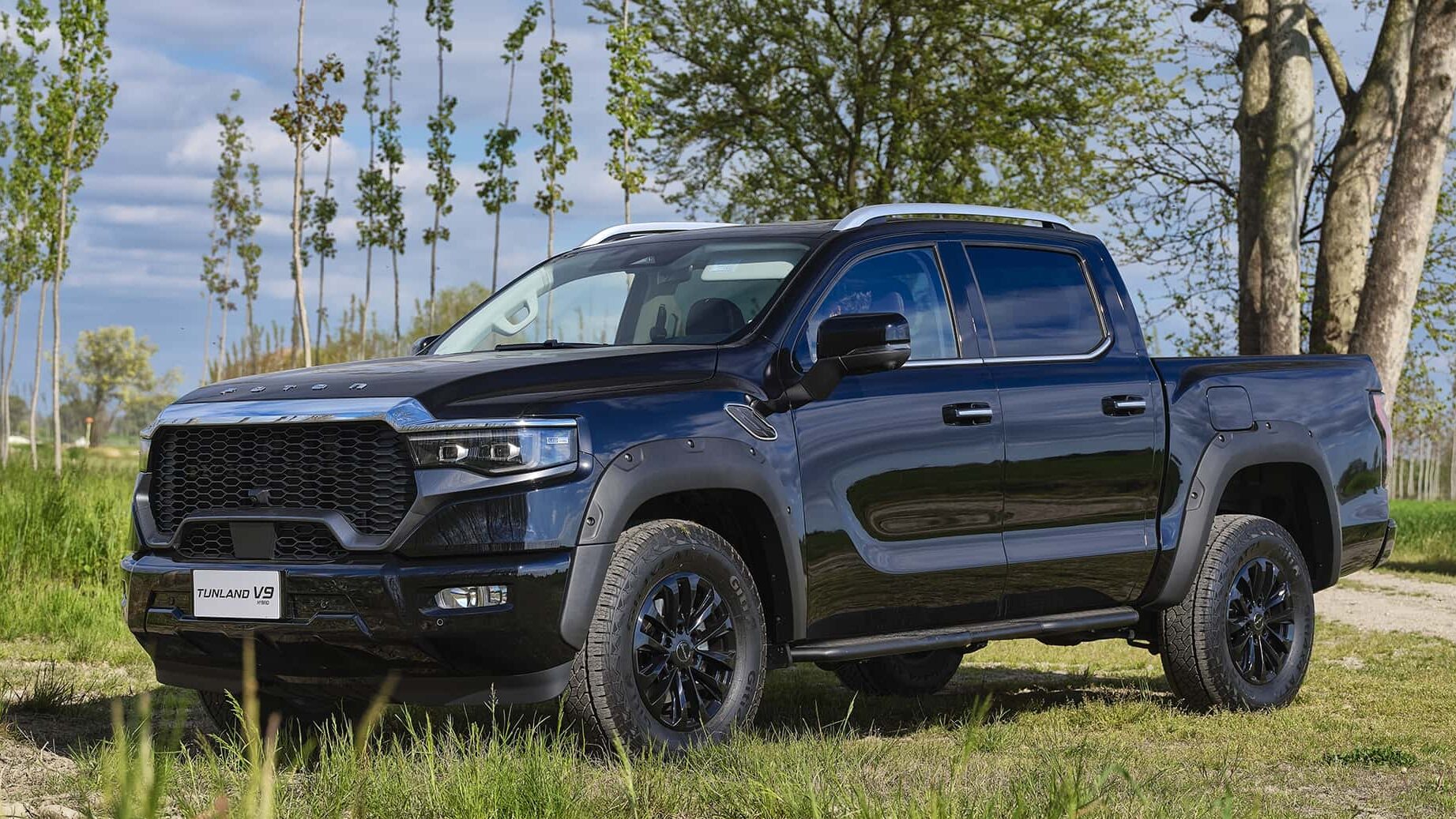 Foton Tunland V9
